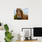 Zucker das Appaloosa Pferd, Poster (Heimbüro)