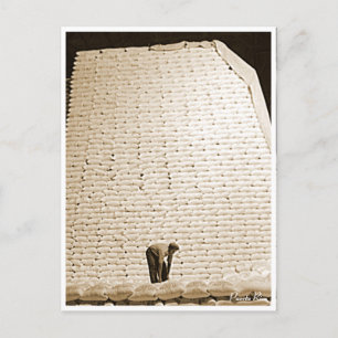 Zucker, Geschichte, Puerto Rico Postkarte