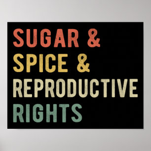 Zucker & Gewürz & Reproduktive Rechte I Poster