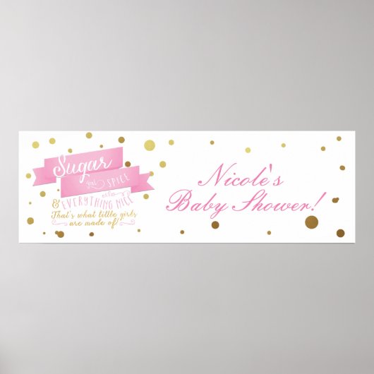 Zucker & Gewürze & Alles Nette Baby Dusche Banner Poster (Vorne)