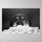 Zucker hoch poster (Vorne)