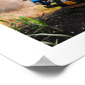 Zucker-Lkw Poster (Ecke)