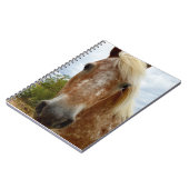 Zucker mit Spitzhacken, Appaloosa, Notizblock (Linke Seite)