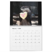 Zucker-Shots-Kalender 2020 Kalender (Feb 2026)