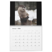 Zucker-Shots-Kalender 2020 Kalender (Jan 2026)