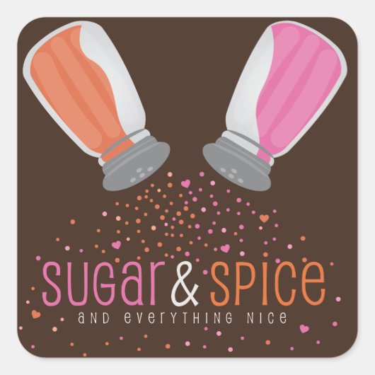 Zucker- und GewürzShakers-Babydusche Quadratischer Aufkleber (Vorderseite)