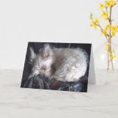 Zuckerbärenkarte Karte (Gelbe Blume)