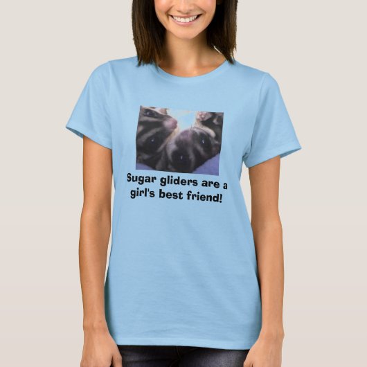 Zuckerflieger sind ein Gi... T-Shirt (Vorderseite)