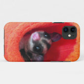 Zuckerglänzer in Orange-Hängepflanze Case-Mate iPhone Hülle (Rückseite (Horizontal))