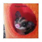 Zuckerglänzer in Orange-Hängepflanze Fliese (Vorderseite)