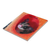 Zuckerglänzer in Orange-Hängepflanze Fliese (Seite)