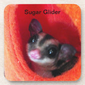 Zuckerglänzer in Orange-Hängepflanze Getränkeuntersetzer (Vorderseite)