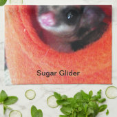 Zuckerglänzer in Orange-Hängepflanze Handtuch (Gefaltet)