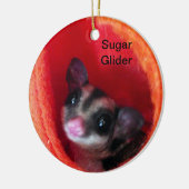 Zuckerglänzer in Orange-Hängepflanze Keramik Ornament (Links)