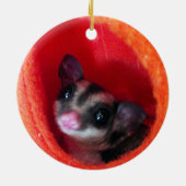 Zuckerglänzer in Orange-Hängepflanze Keramik Ornament (Hinten)