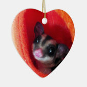 Zuckerglänzer in Orange-Hängepflanze Keramikornament (Rechts)