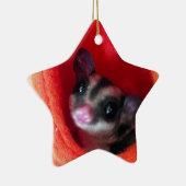 Zuckerglänzer in Orange-Hängepflanze Keramikornament (Rechts)