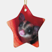 Zuckerglänzer in Orange-Hängepflanze Keramikornament (Links)