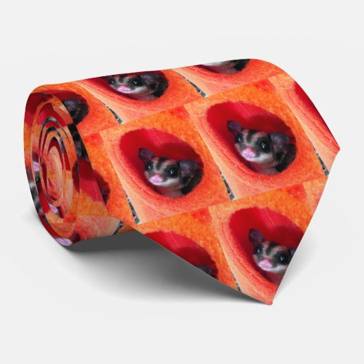 Zuckerglänzer in Orange-Hängepflanze Krawatte (Gerollt)