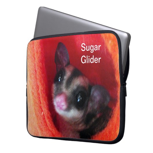 Zuckerglänzer in Orange-Hängepflanze Laptopschutzhülle (Vorderseite Links)