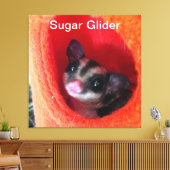 Zuckerglänzer in Orange-Hängepflanze Leinwanddruck (Insitu (Wohnzimmer))