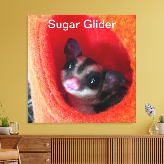 Zuckerglänzer in Orange-Hängepflanze Leinwanddruck (Insitu (Wohnzimmer))