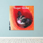 Zuckerglänzer in Orange-Hängepflanze Leinwanddruck (Insitu (Holzboden))