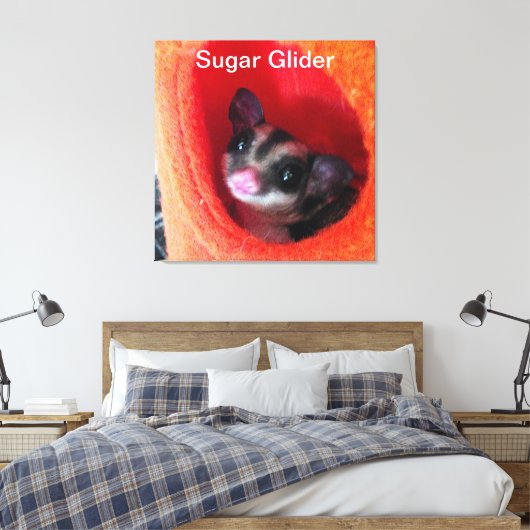 Zuckerglänzer in Orange-Hängepflanze Leinwanddruck (Insitu (Schlafzimmer))