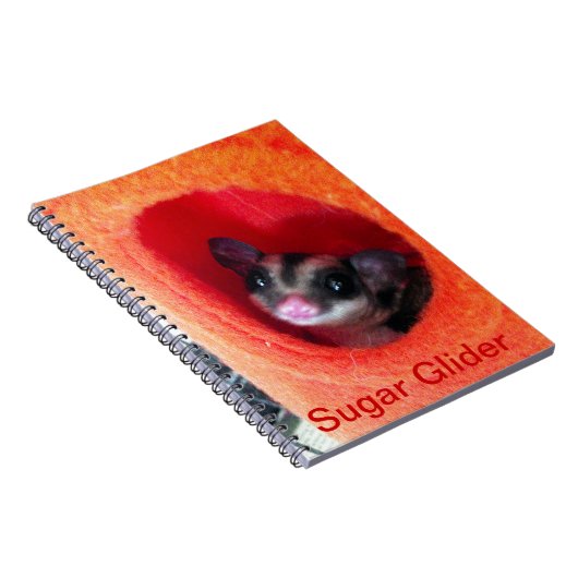 Zuckerglänzer in Orange-Hängepflanze Notizblock (Rechte Seite)