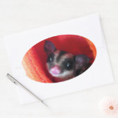 Zuckerglänzer in Orange-Hängepflanze Ovaler Aufkleber (Umschlag)