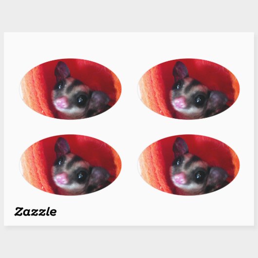 Zuckerglänzer in Orange-Hängepflanze Ovaler Aufkleber (Blatt)