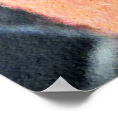 Zuckerglänzer in Orange-Hängepflanze Poster (Ecke)