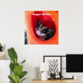 Zuckerglänzer in Orange-Hängepflanze Poster (Heimbüro)