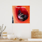 Zuckerglänzer in Orange-Hängepflanze Poster (Küche)