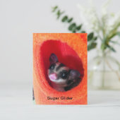 Zuckerglänzer in Orange-Hängepflanze Postkarte (Stehend Vorderseite)