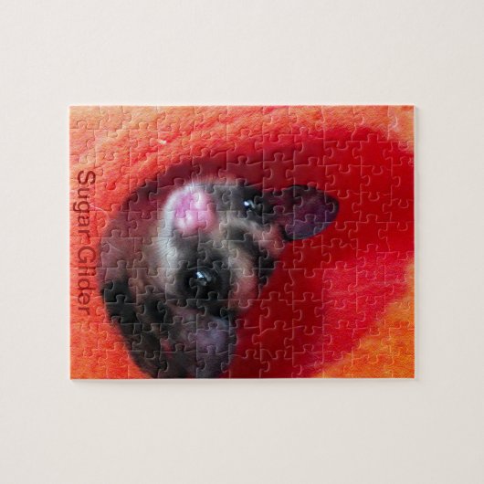 Zuckerglänzer in Orange-Hängepflanze Puzzle (Horizontal)