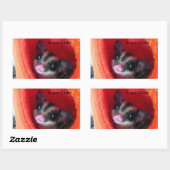 Zuckerglänzer in Orange-Hängepflanze Rechteckiger Aufkleber (Blatt)