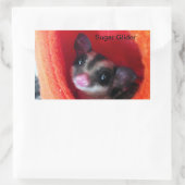 Zuckerglänzer in Orange-Hängepflanze Rechteckiger Aufkleber (Tasche)