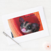 Zuckerglänzer in Orange-Hängepflanze Rechteckiger Aufkleber (Umschlag)