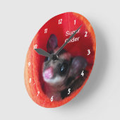 Zuckerglänzer in Orange-Hängepflanze Runde Wanduhr (Winkel)