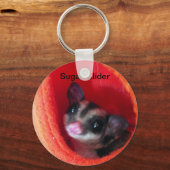 Zuckerglänzer in Orange-Hängepflanze Schlüsselanhänger (Vorderseite)