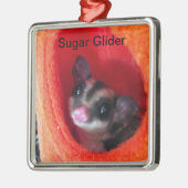 Zuckerglänzer in Orange-Hängepflanze Silbernes Ornament (Links)