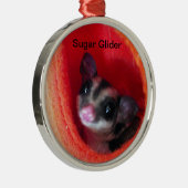 Zuckerglänzer in Orange-Hängepflanze Silbernes Ornament (Rechts)