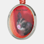 Zuckerglänzer in Orange-Hängepflanze Silbernes Ornament (Links)