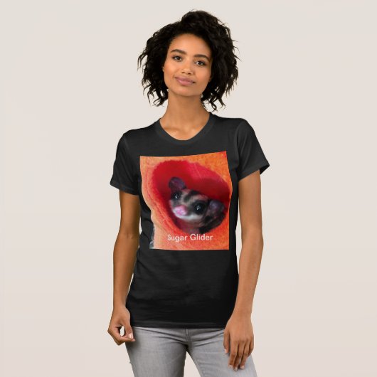 Zuckerglänzer in Orange-Hängepflanze T-Shirt (Vorne ganz)