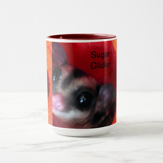 Zuckerglänzer in Orange-Hängepflanze Tasse (Zentrum)