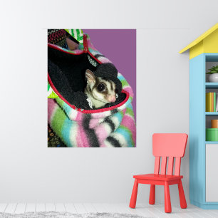Zuckergleiter mit Hut Poster