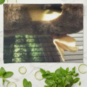 Zuckergrüber in Furry Tree Truck Hängebett Handtuch (Gefaltet)