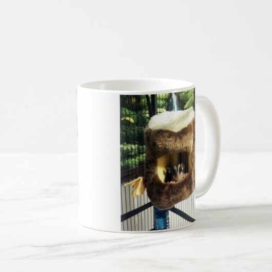 Zuckergrüber in Furry Tree Truck Hängebett Kaffeetasse (VorderseiteRechts)