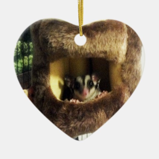 Zuckergrüber in Furry Tree Truck Hängebett Keramik Ornament (Vorne)